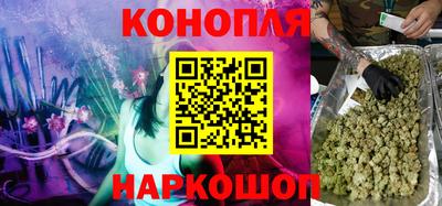 СК Волгодонск