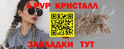 СК Волгодонск
